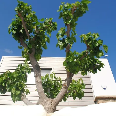 Agnanti Apartmán